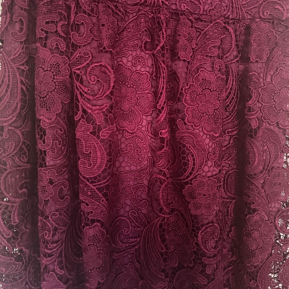 Adrianna Papell Lace Embroidery Dress - Picture 4 of 10